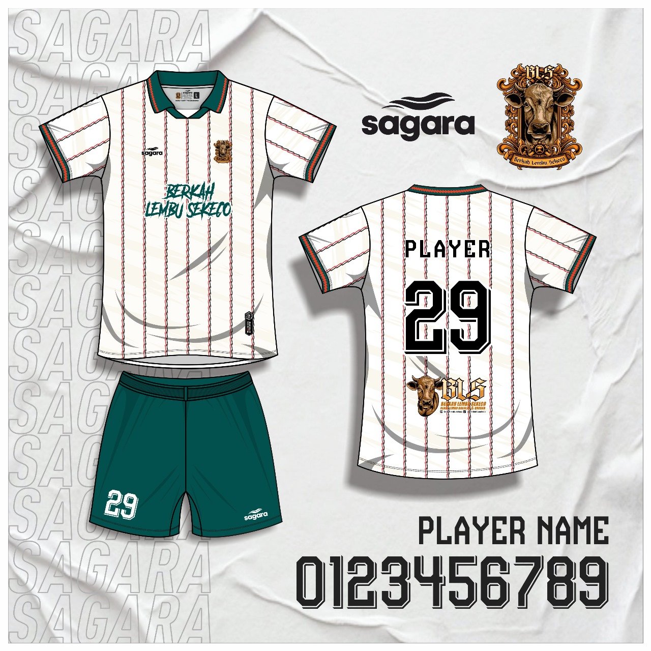 BLS - PLAYER